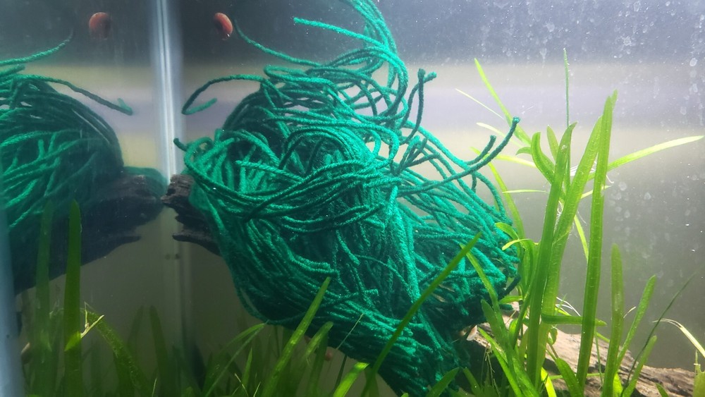 Spawning Mop - Floating or Weightless or Sinking - For Breeding Spawning Fish