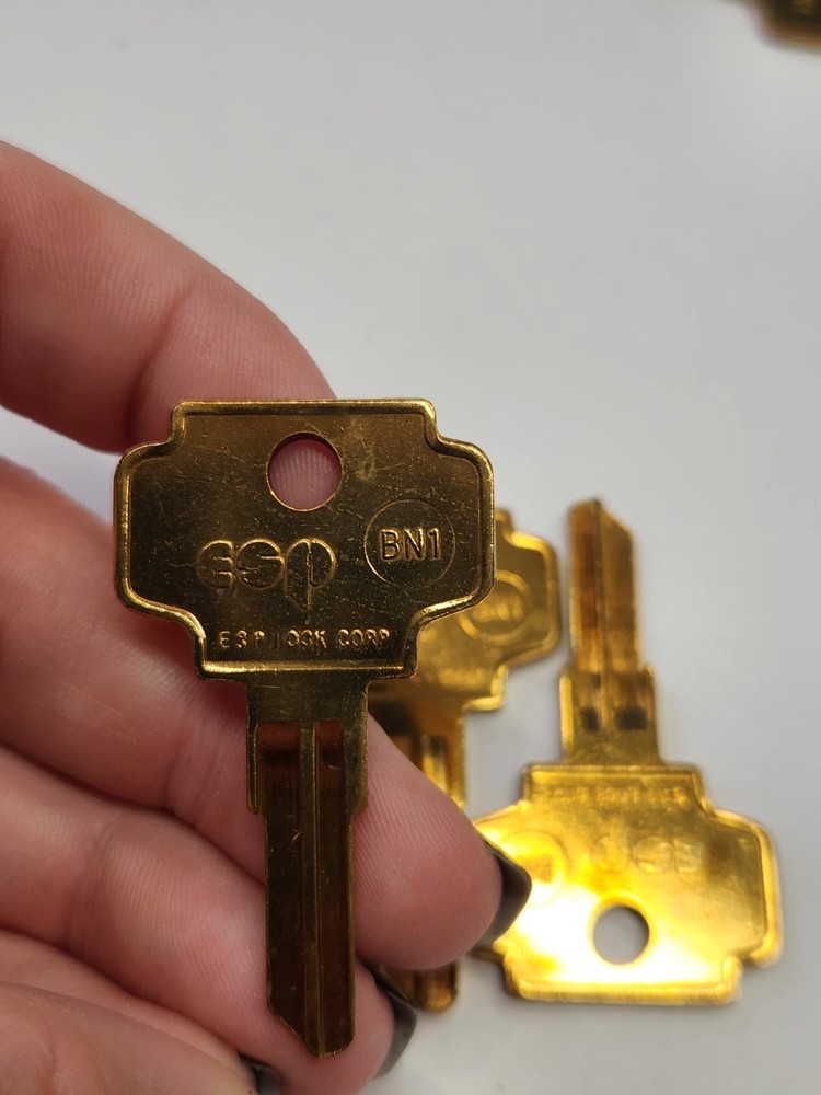 6 ESP BN1 Key Blanks (rm.2-oo)
