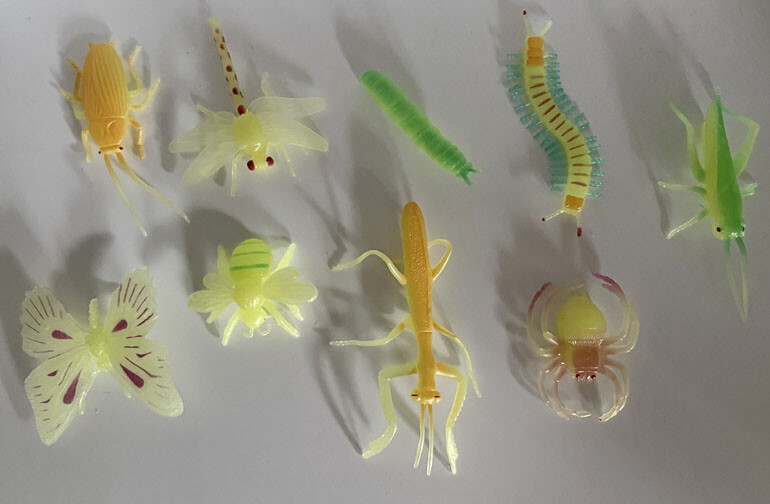 Insects - Glow in the Dark