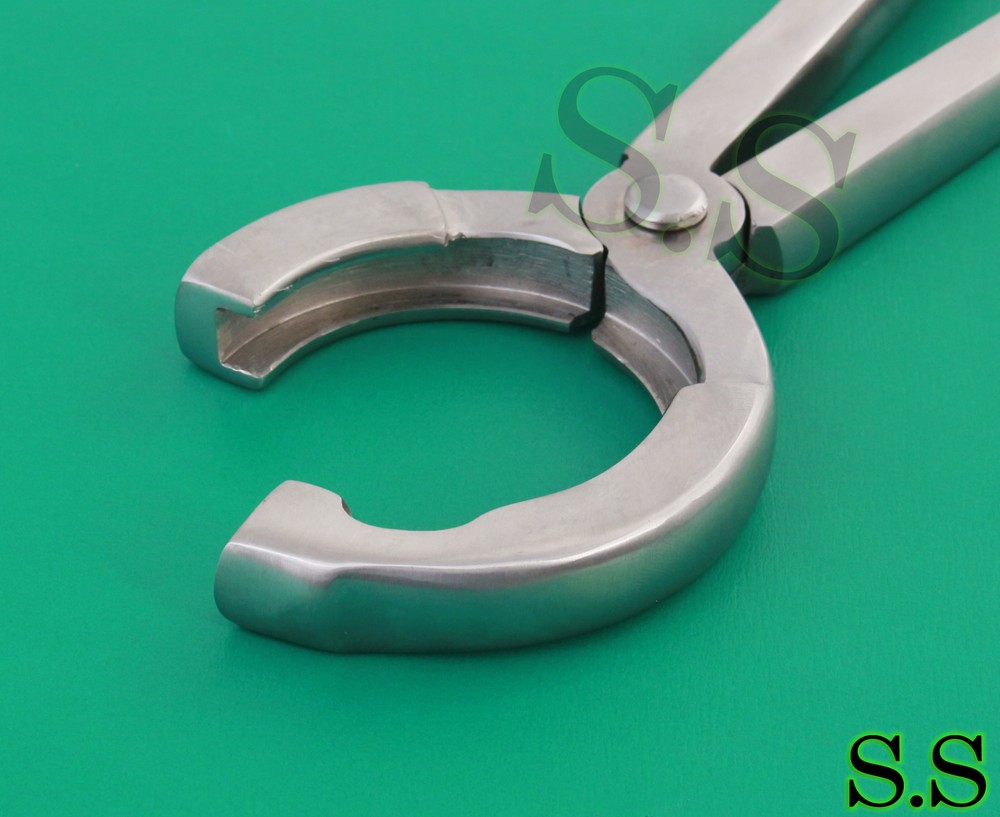 Bull Ring Applicator 33 cm Veterinary Instruments