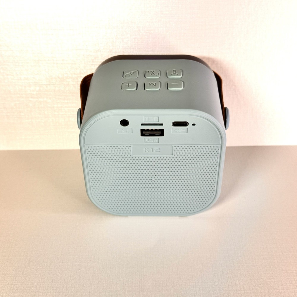 Portable Wireless Karaoke Speaker With 1 Wireless Microphones