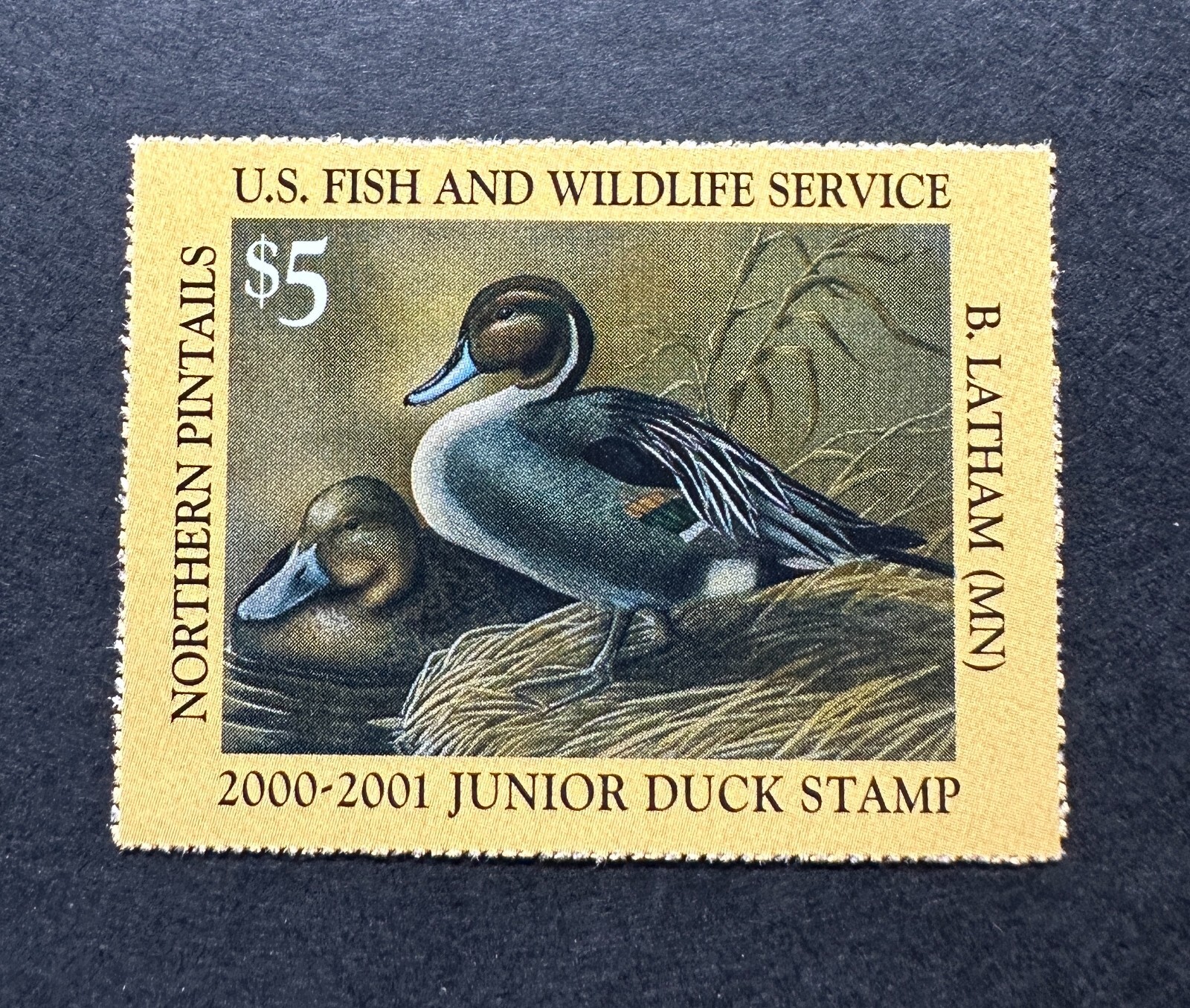 WTDstamps - #JDS8 2000 - Junior Duck Stamp - Mint OG NH - **Post Office FRESH**