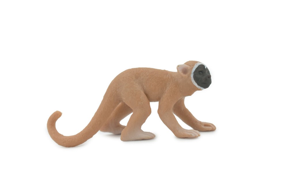 Monkey Squirrel Primate Realistic Toy Figure Statue Model 2.5" CH548 BB159