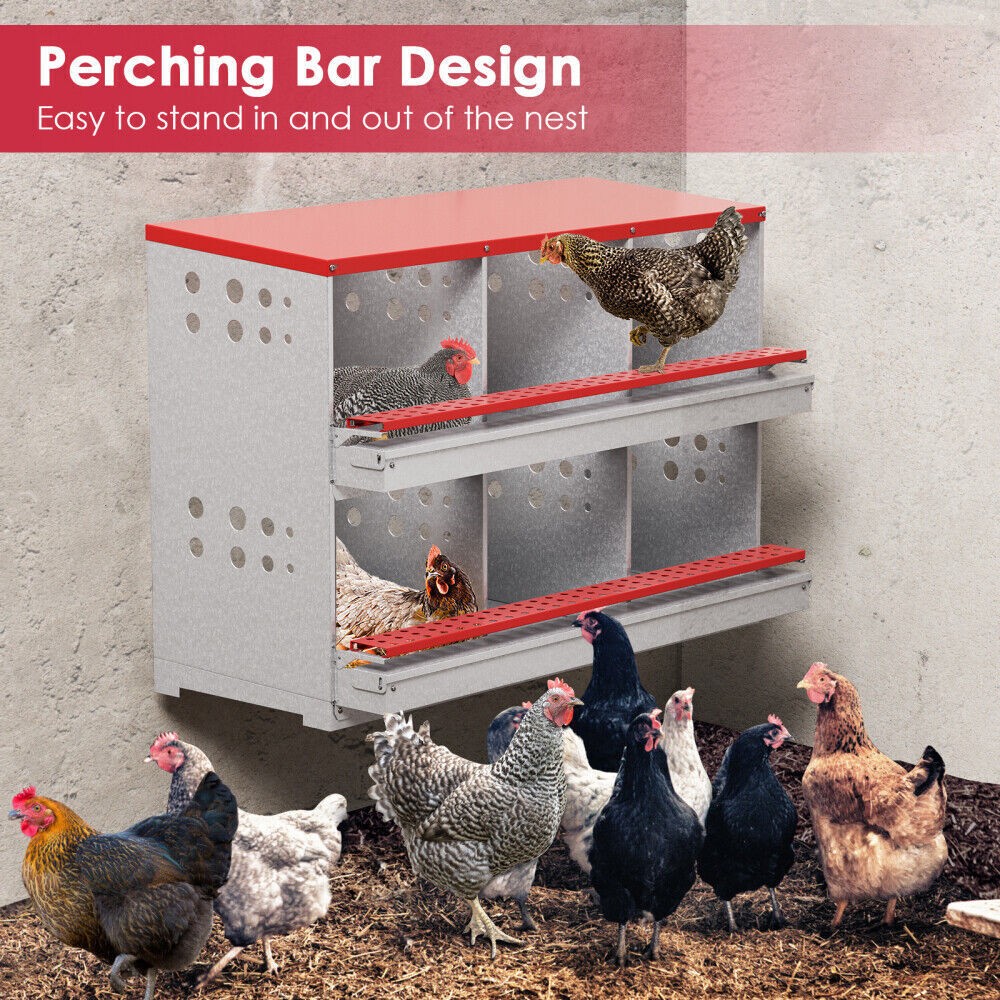 New 6Hole Chicken Nesting Boxes Metal Egg Laying Brooding Box With Vent Hole Set
