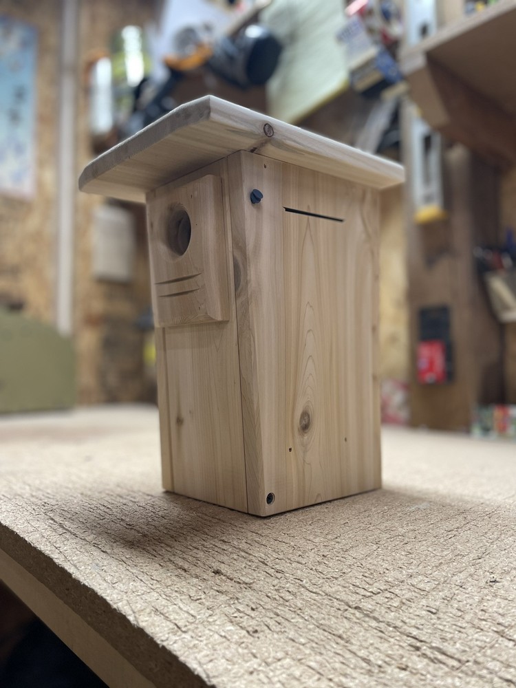 White cedar Bluebird nesting box