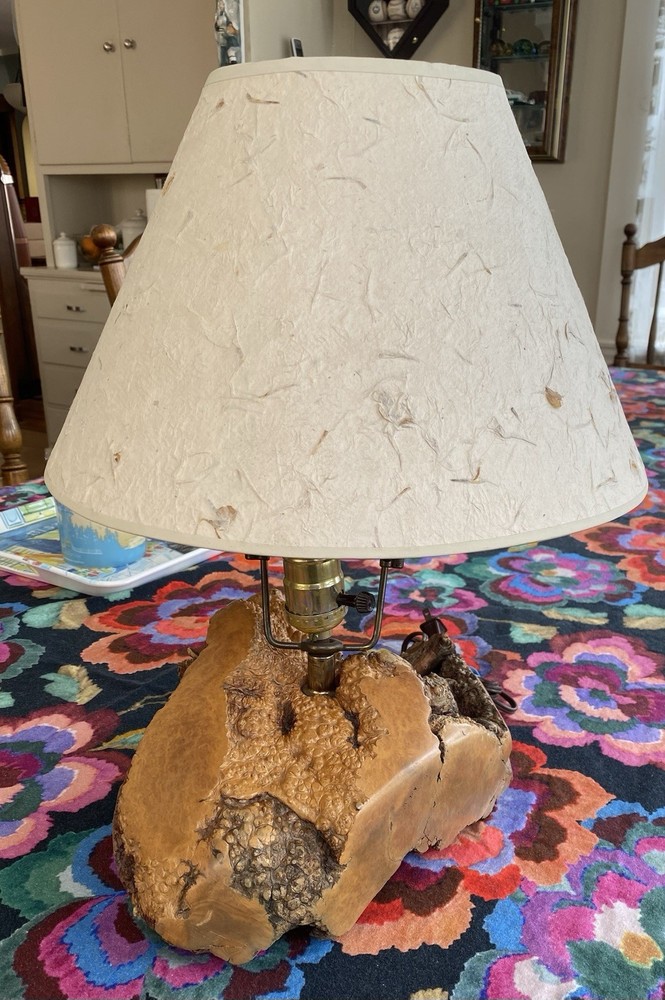 Burl Wood Lamp