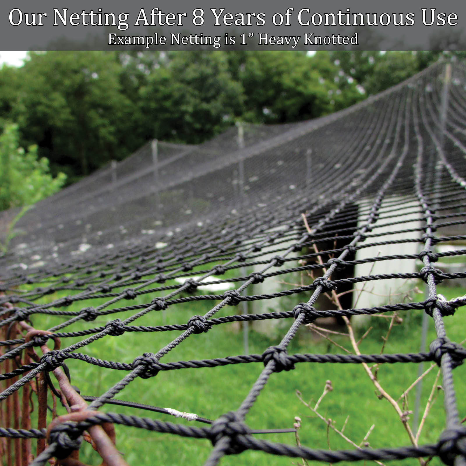 Poultry Netting 25' x 50' 1" Heavy Knotted Aviary Anti Bird Net Lasts 7-10 Years