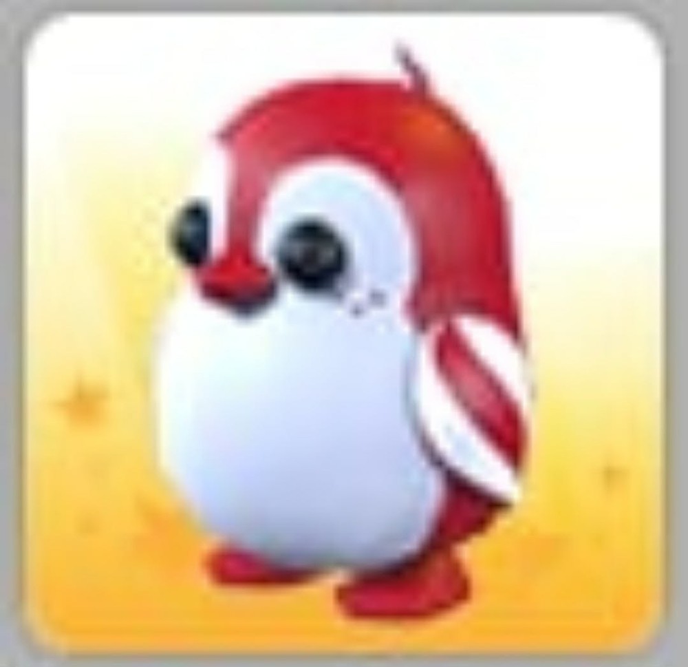 Peppermint Penguin | Adopt Now