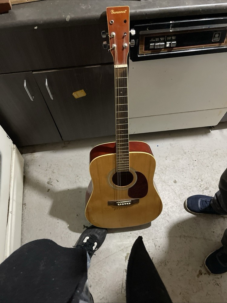 Beautiful Acoustic Guitar