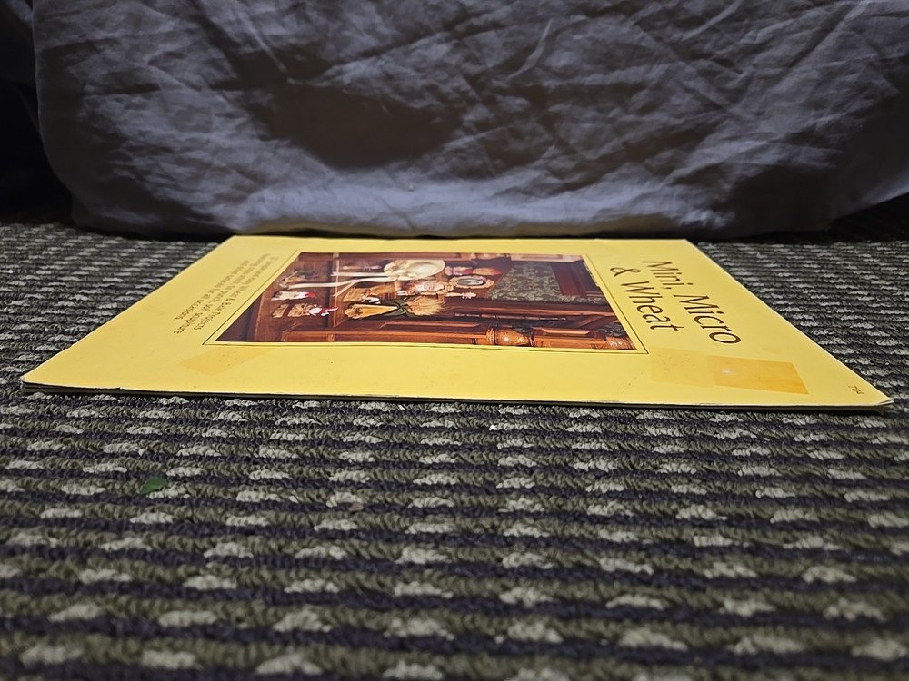 Mini, Micro & Wheat 27 Simple Wheat And Bale Projects Straw Weavers, Inc