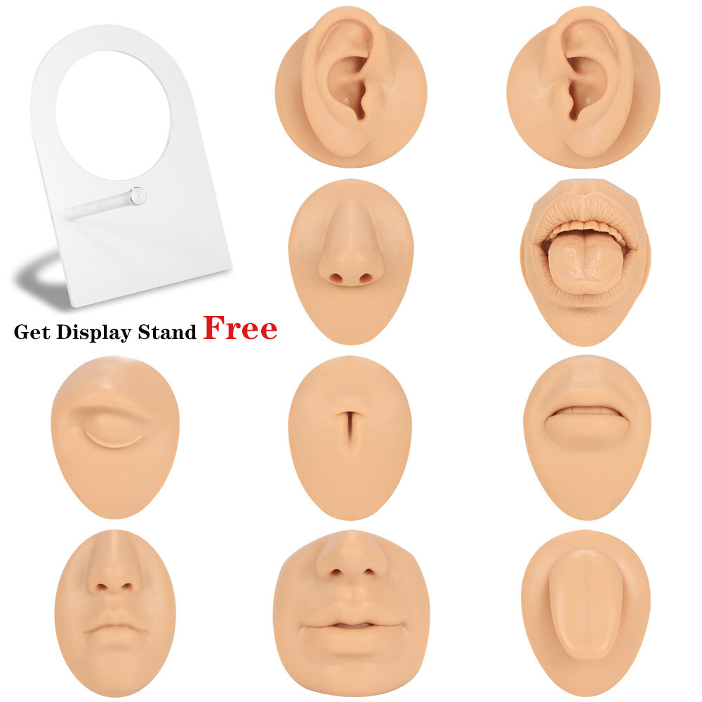 Silicone Ear Model with Acrylic Display Stand Body Parts Practice Piercing Tools