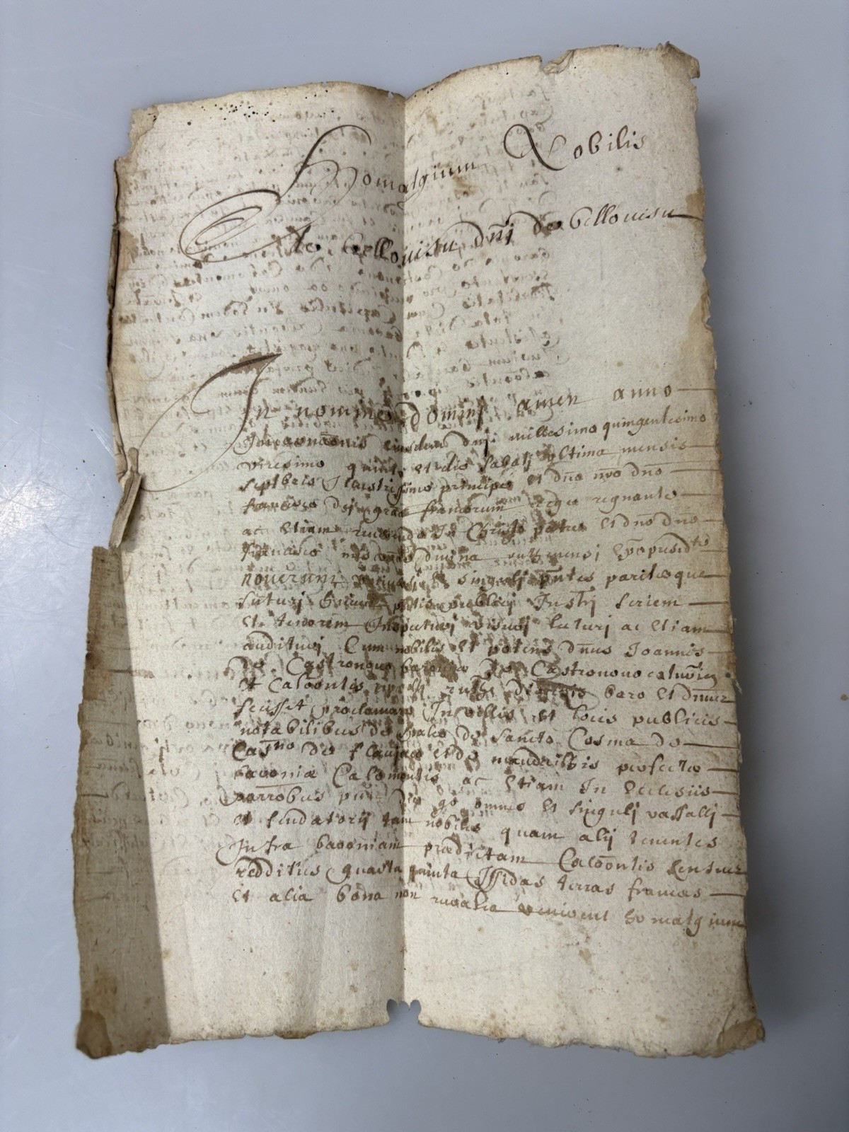 16th Century Manuscript Leaf Feudal Homage Document “Nobilis” RARE FIND