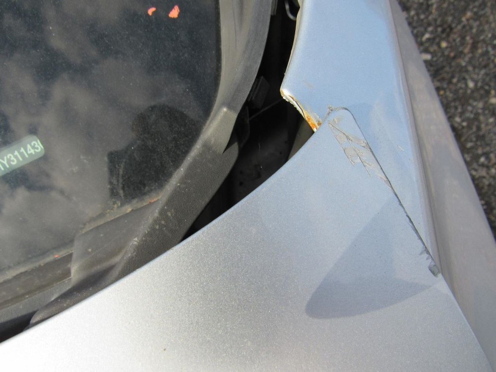 SENTRA 2017 Glove Box 1003884