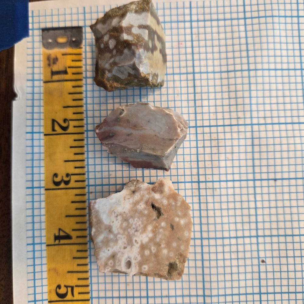 Jasper Rough