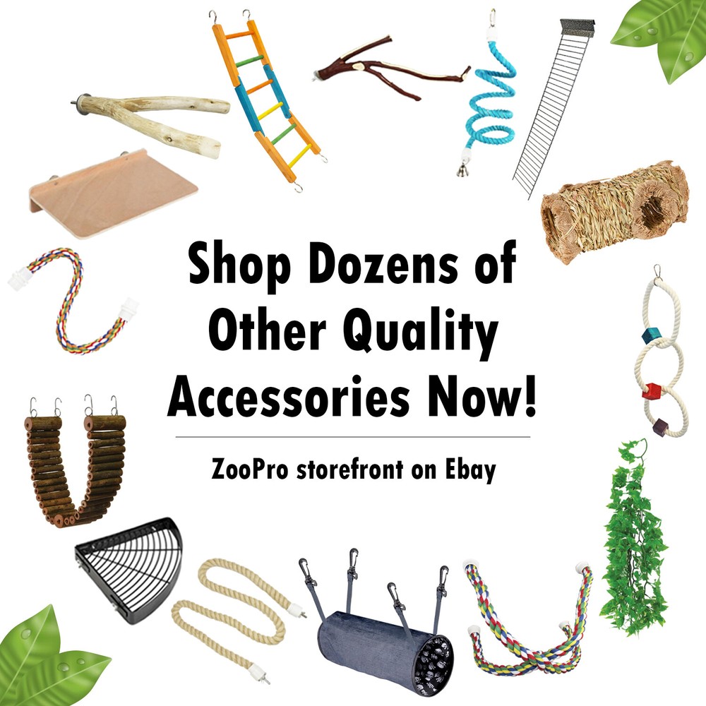 Multi-Branch Perch, Small - Durable Cage Accessory - Sugar Glider, Rat, Parrot