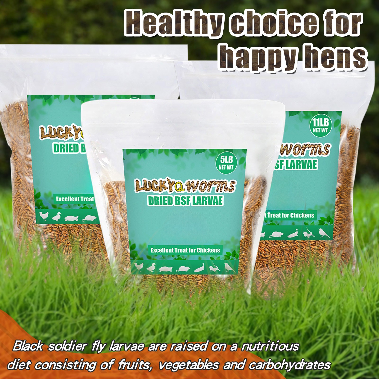 5-44LB Dried Black Soldier Fly Larvae for Chicken Feed Birds Treat Mealworm Lot