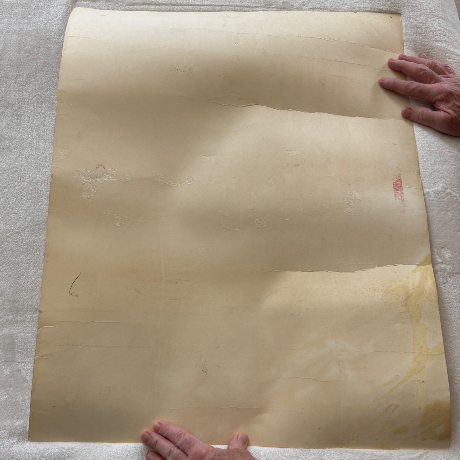 Vintage Elvis Presley Hatch Show Print Poster 1985 Letterpress Florida Theatre