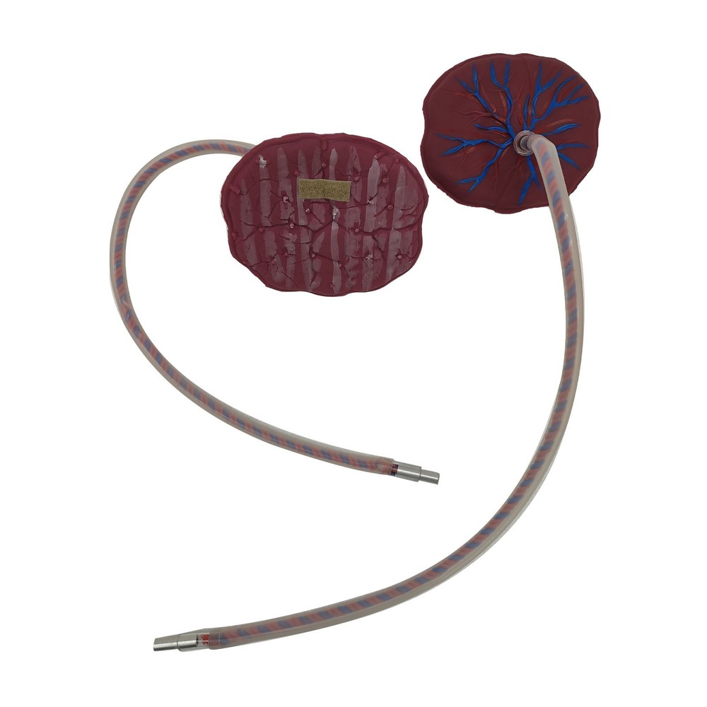 Female Childbirth Model Simulation Childbirth Comprehensive Skill Training Model