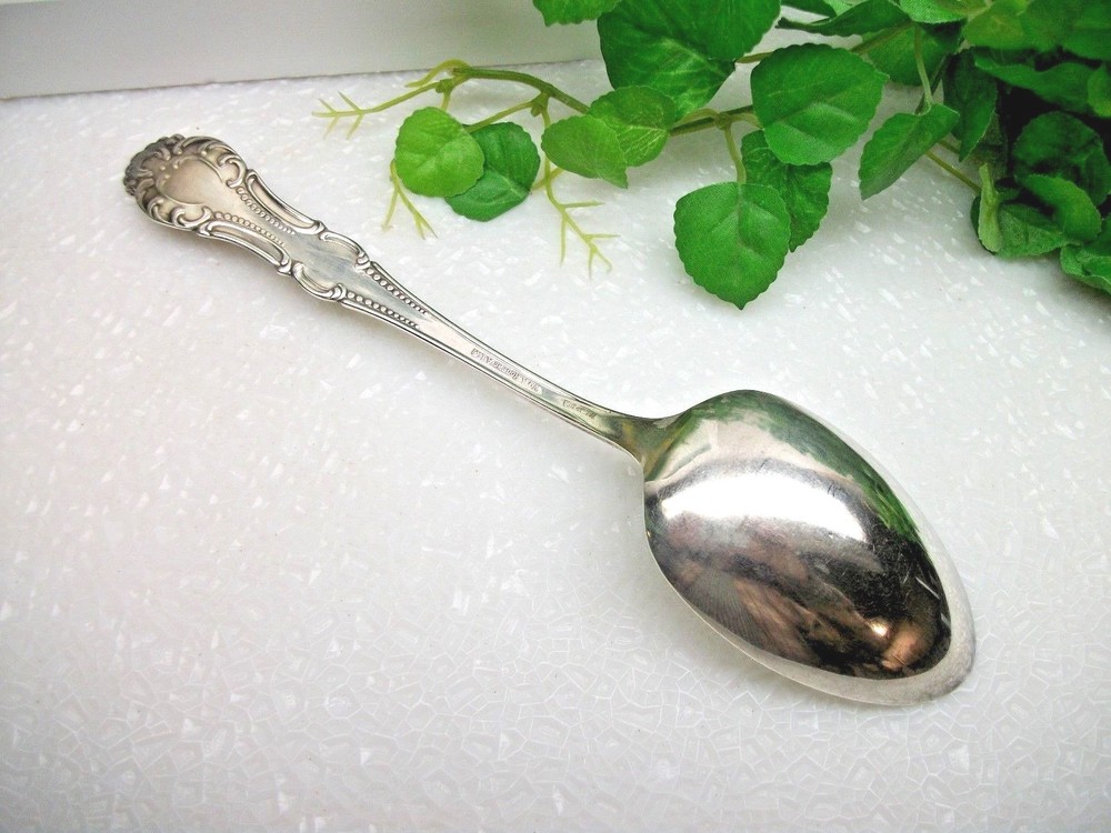 Oneida Wm. A. Rogers Rosemary CARLTON Silverplate Solid Serving Spoon 1898