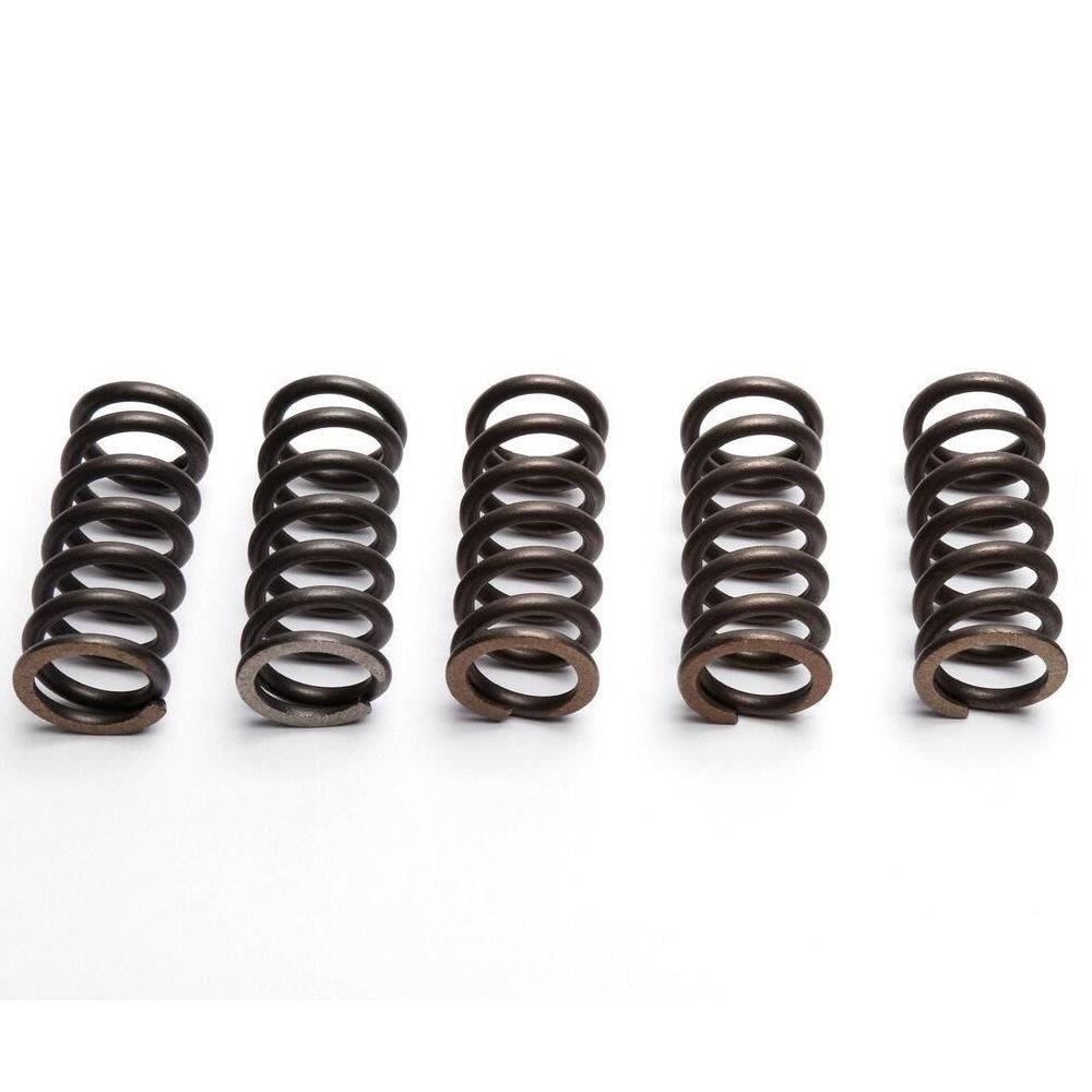 EBC Clutch Spring Set (5 PCS) - CSK148