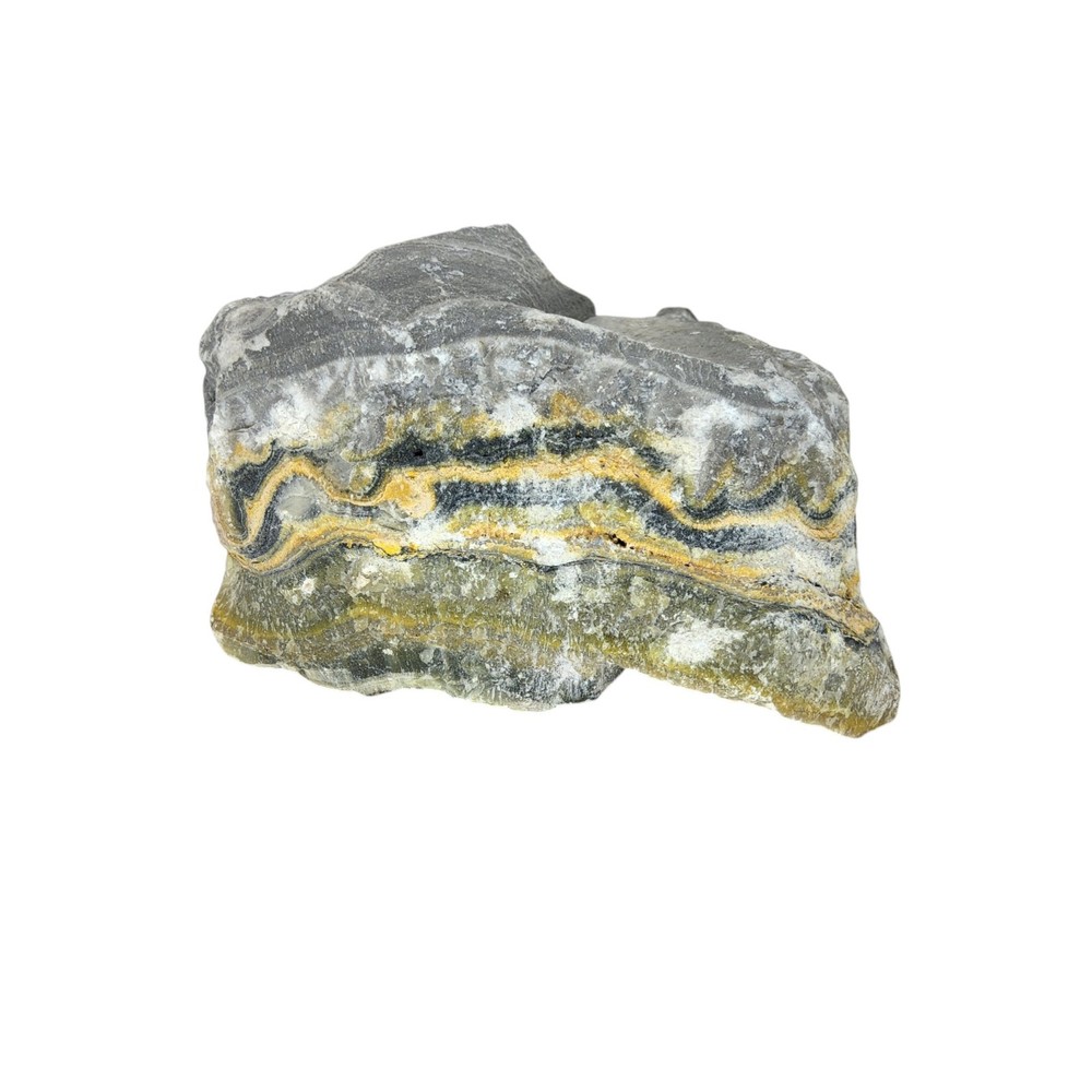 Bumblebee Jasper, 1.25 lbs, cabbing rough, #R-6999