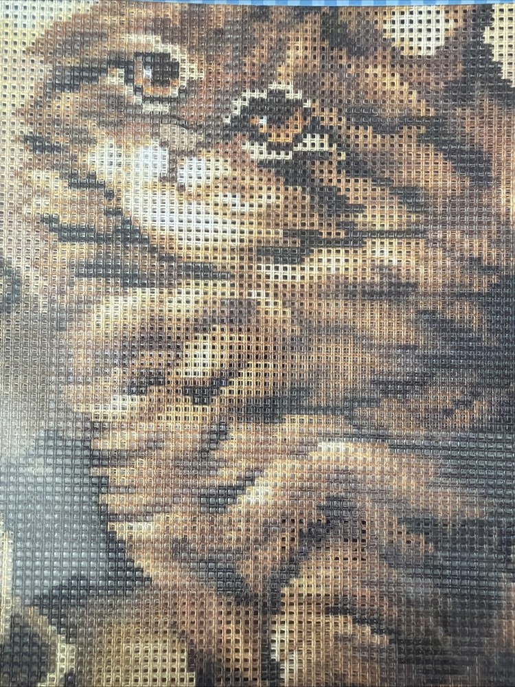 Orchidea Printed needlepoint tapestry Canvas Only 30x40 cm