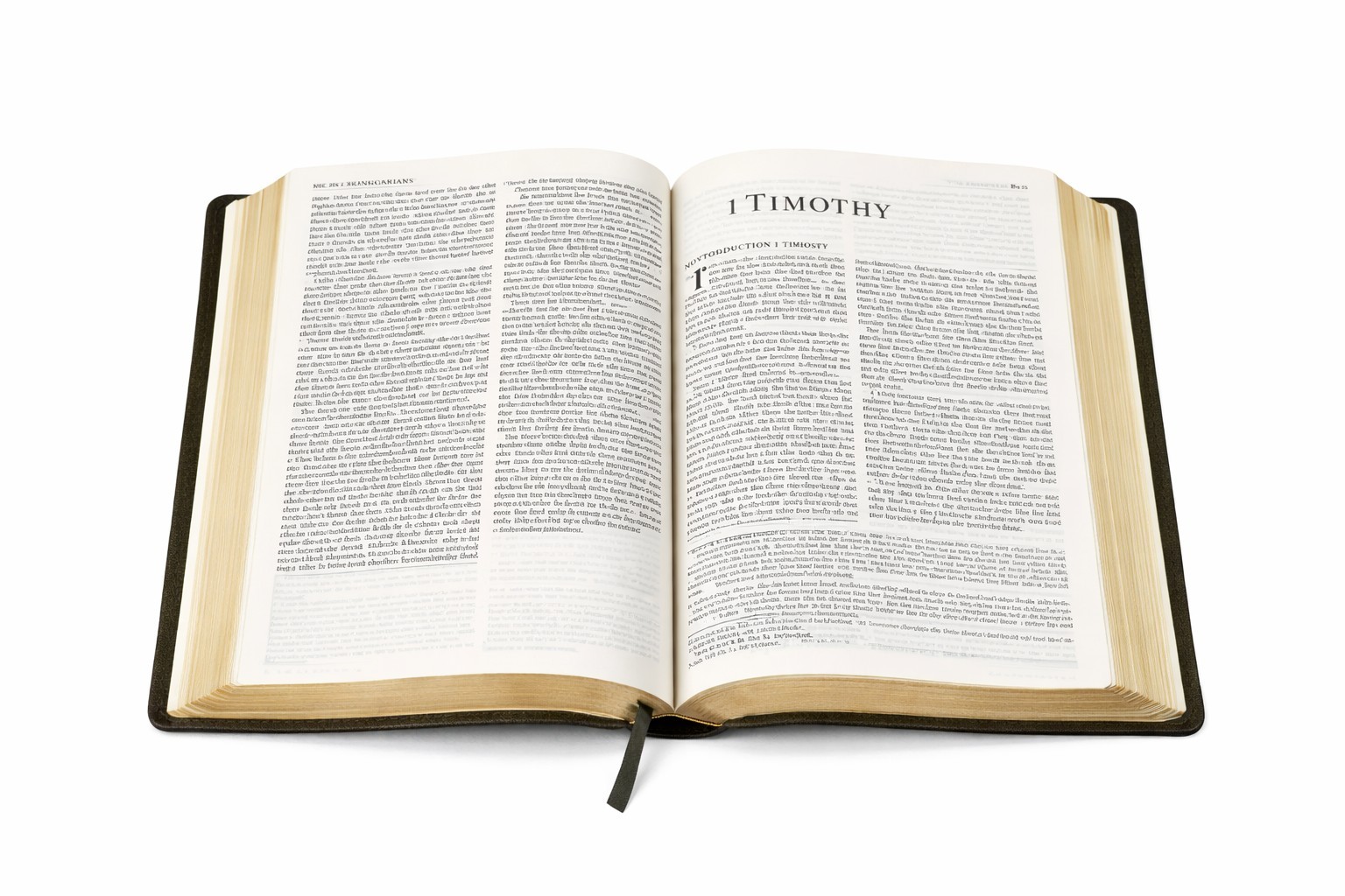 ESV Study Bible Large Print Olive TruTone Branch Design Crossway NEW Sealed