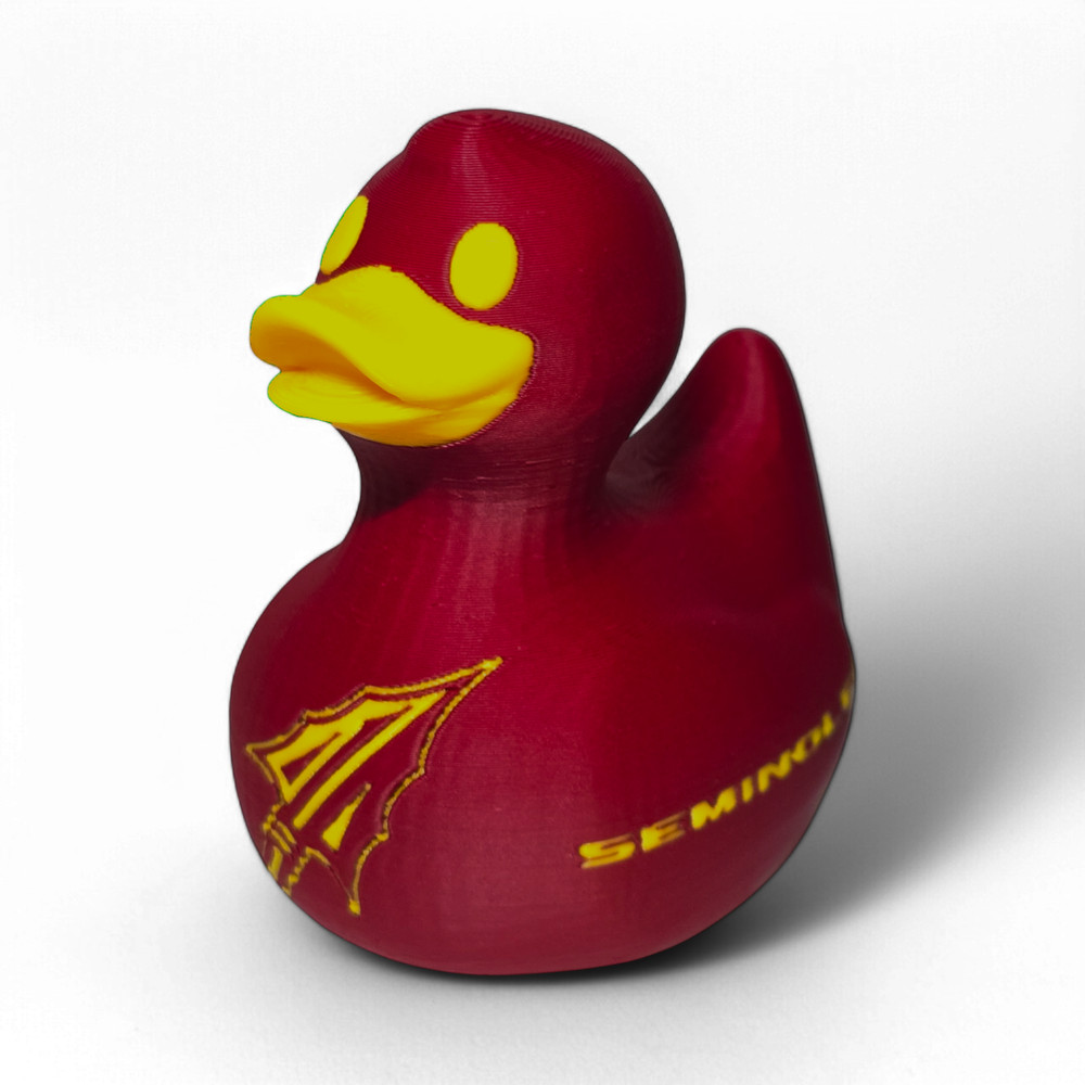 Florida State Seminoles Duck
