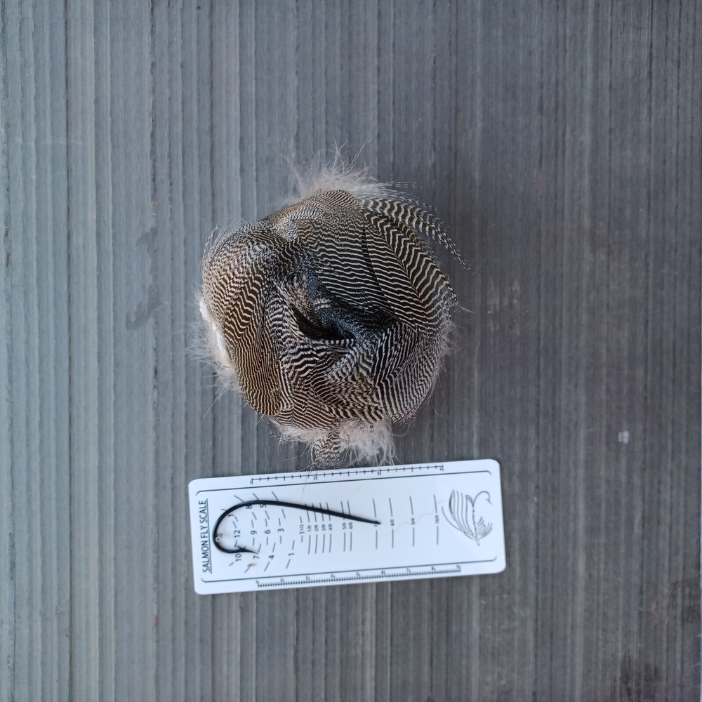 Teal Flank Bundle VERY LIMITED