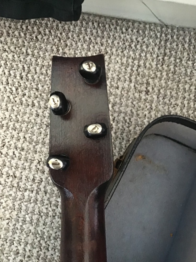 banjolele ukulele