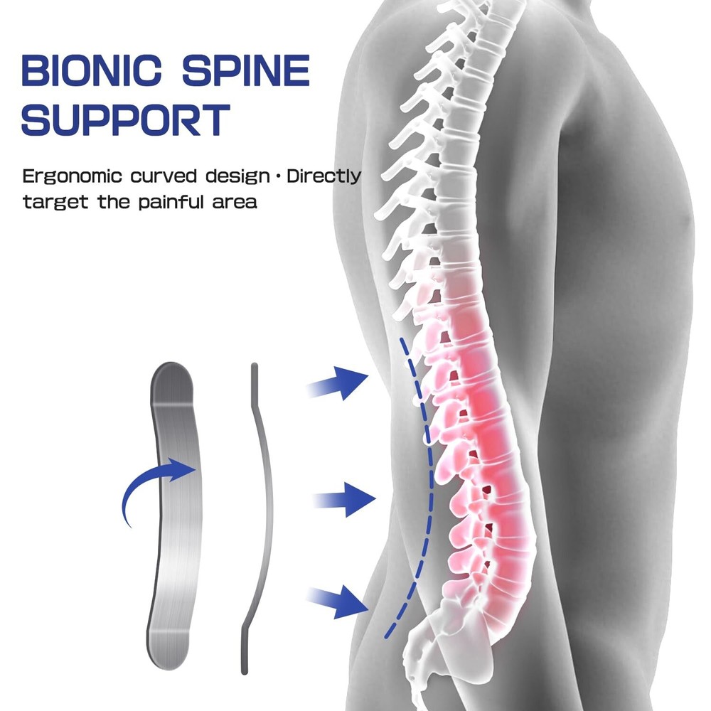 Lower Back Brace for Pain Relief & Posture Correction - Bionic Y-Back Support...