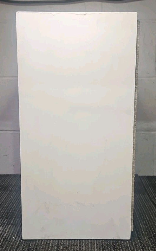 Dynaco A-25 Speaker Pair - White