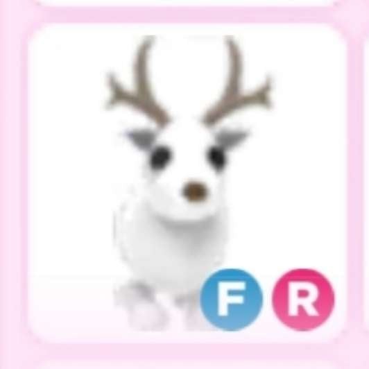 Arctic Reindeer | Adopt Now