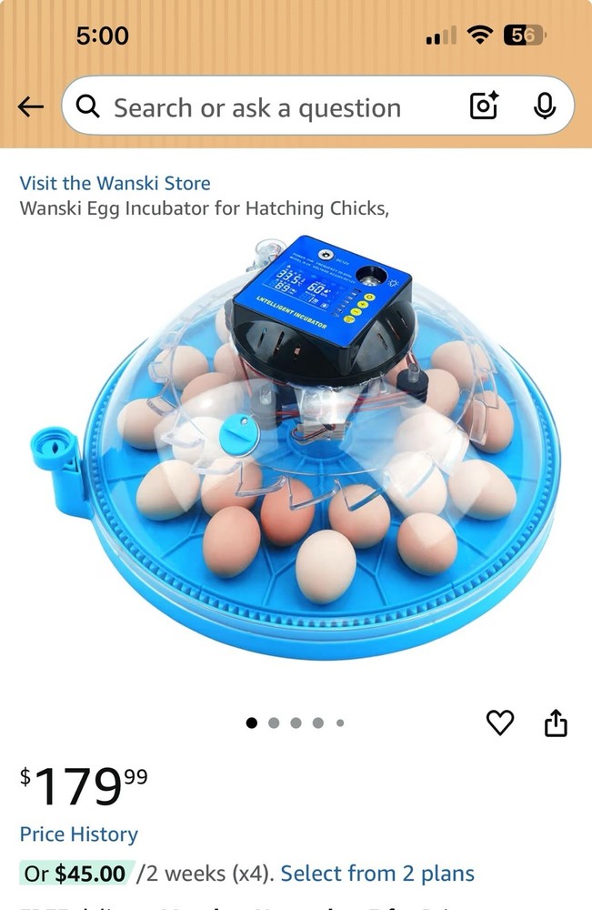 Wanski Egg Incubator for Hatching Chicks,