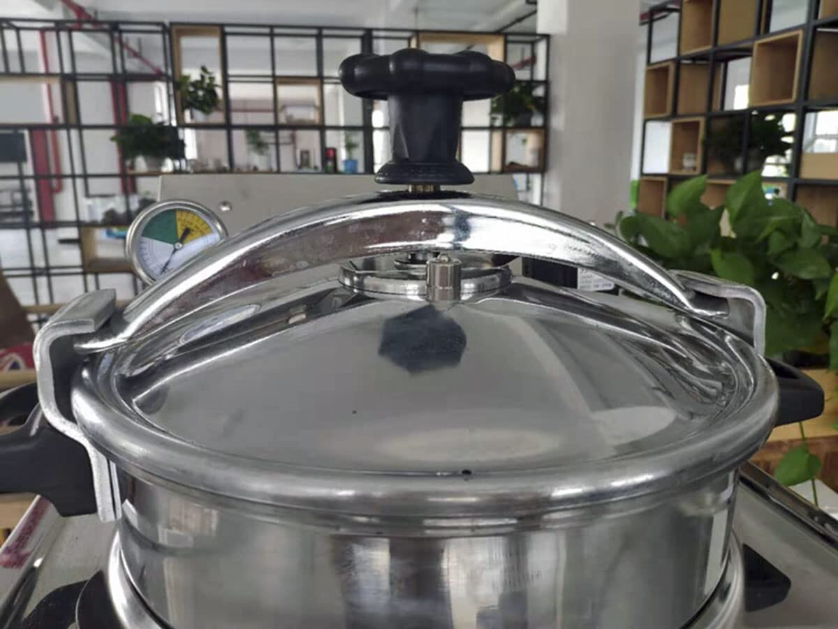 16L High Pressure Fried Chicken Machine 110V Chicken Pressure Food Oven Fryer