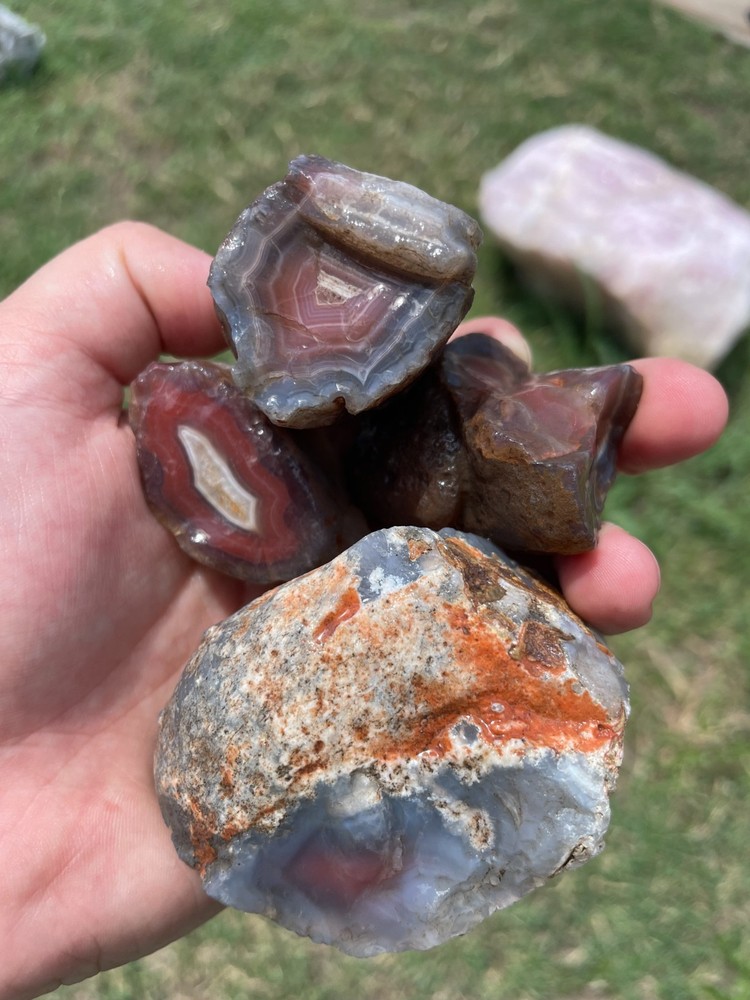 Mozambique Agate