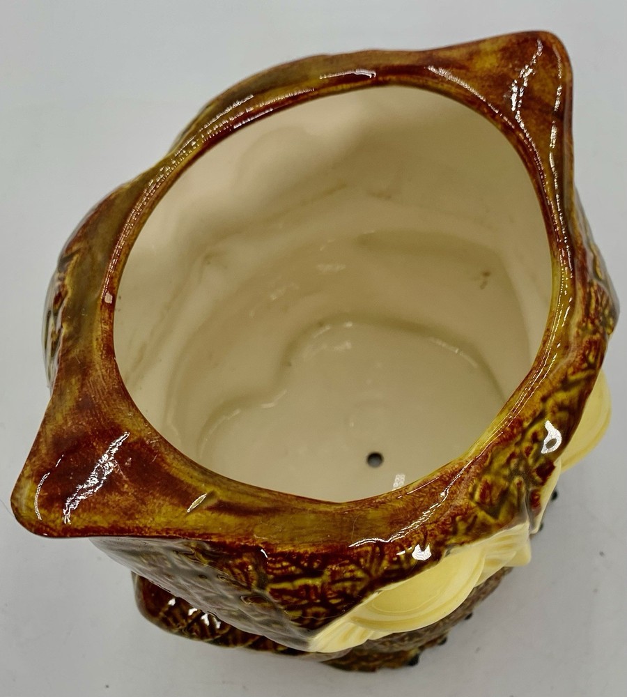 Claylicious Painted Ceramic Owl Planter Pot