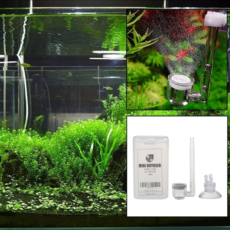 Acrylic for CO2 Diffuser Atomize Quiet Bubbling with Tiny Bubbles for Aquar