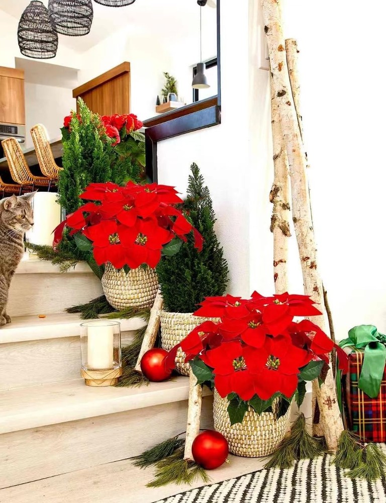 American flag pattern fire extinguisher holder for vehicles.