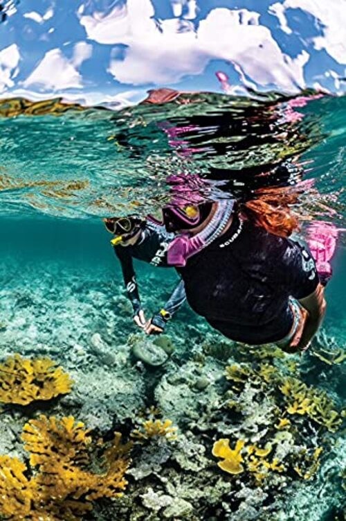 Spectra Snorkel Pink