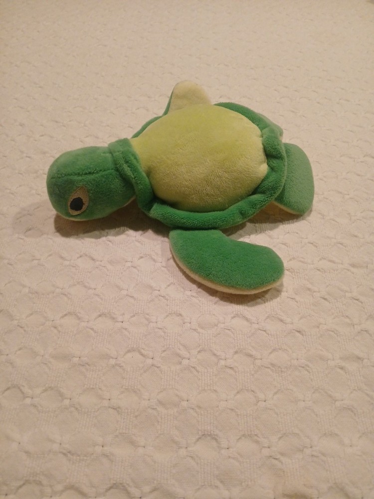 Endangered Species Turtle