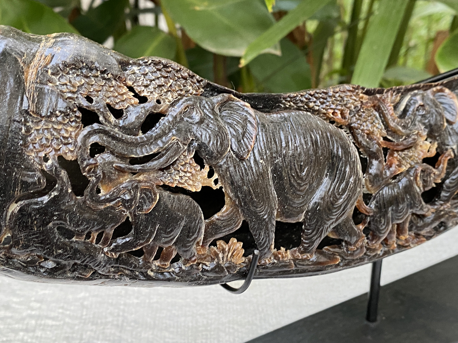 Carved Buffalo Horn Waterbuffalo Bone Carving Horn Carving Elephant Horn Carving