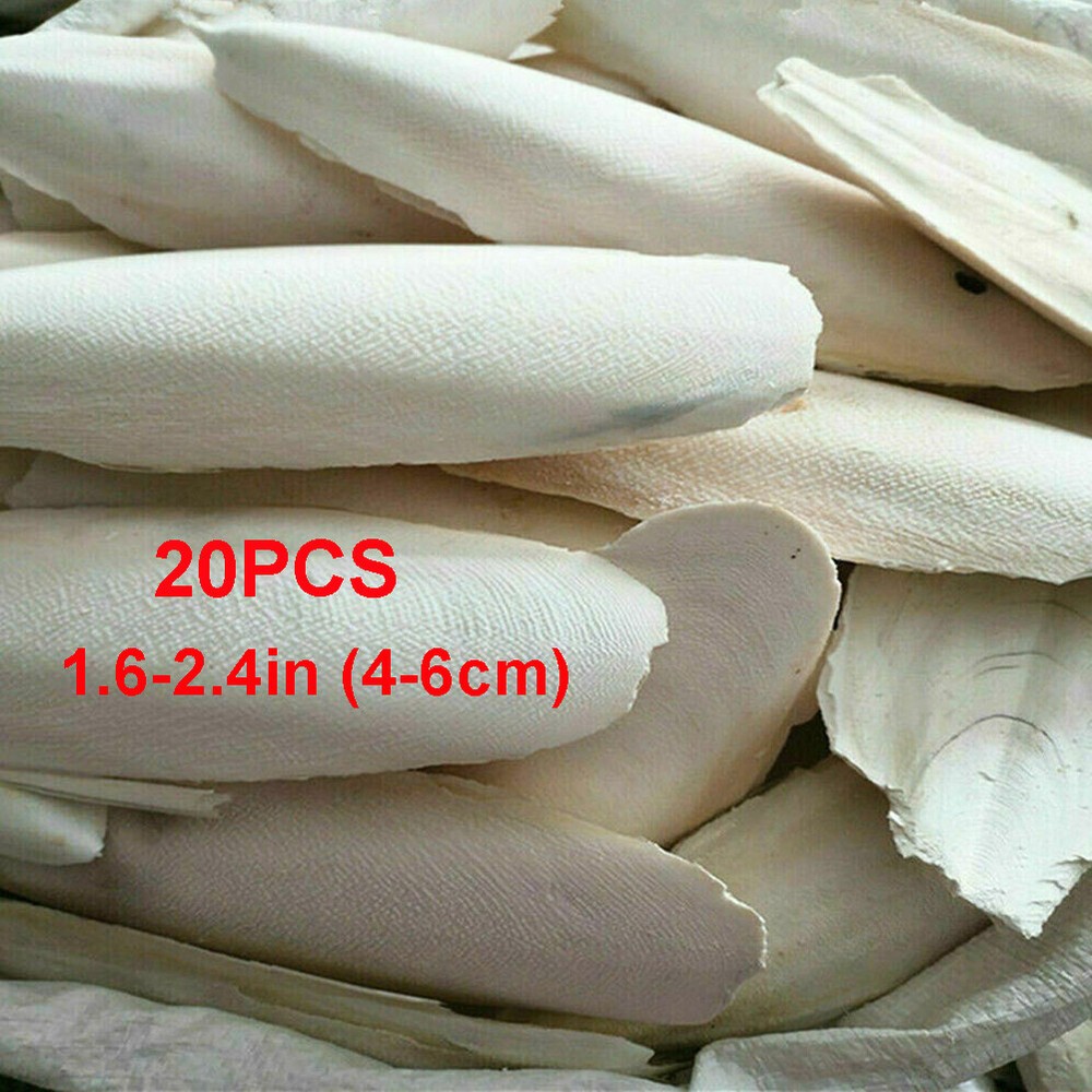 10/20PC Cuttlebone for Birds Parrot Chewing Cuttle bone For Sharp Beaks 2.4-3.1"