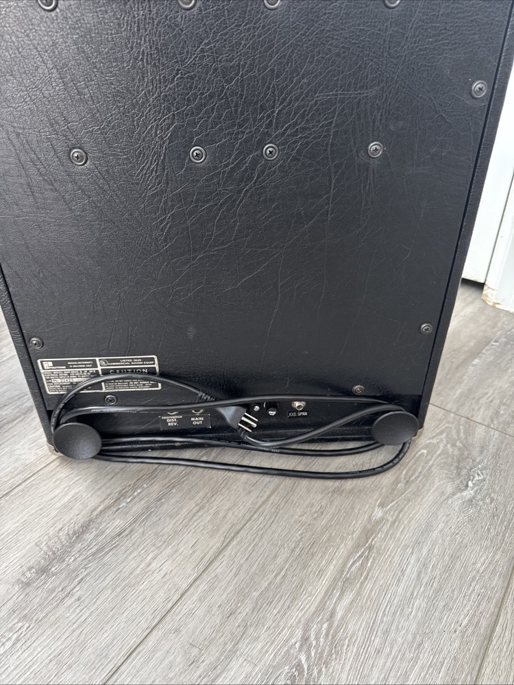 Polytone Mini Brute IV Rebuilt