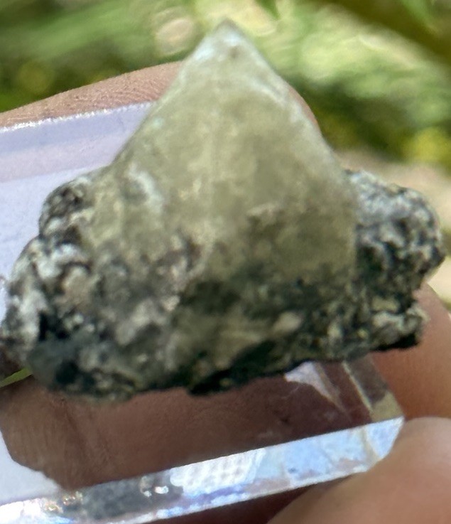 18 Grams Herderite On Matrix