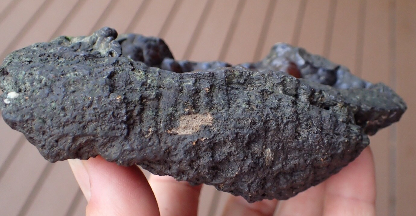 Botryoidal Fossil Coral Geode Chunk GA Specimen Collection Agate Marine Sea WC63