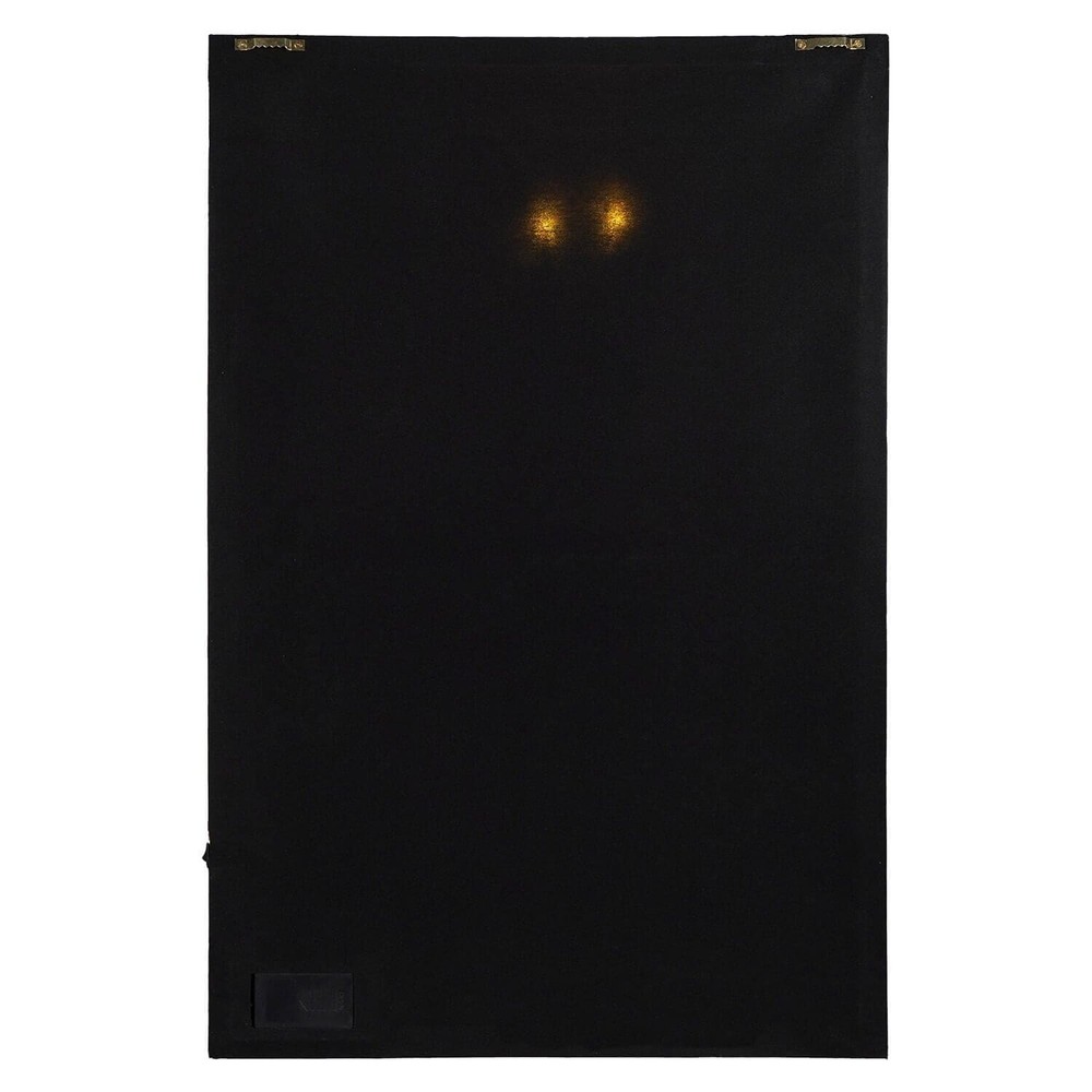 Boo Owl LED Wall Art
