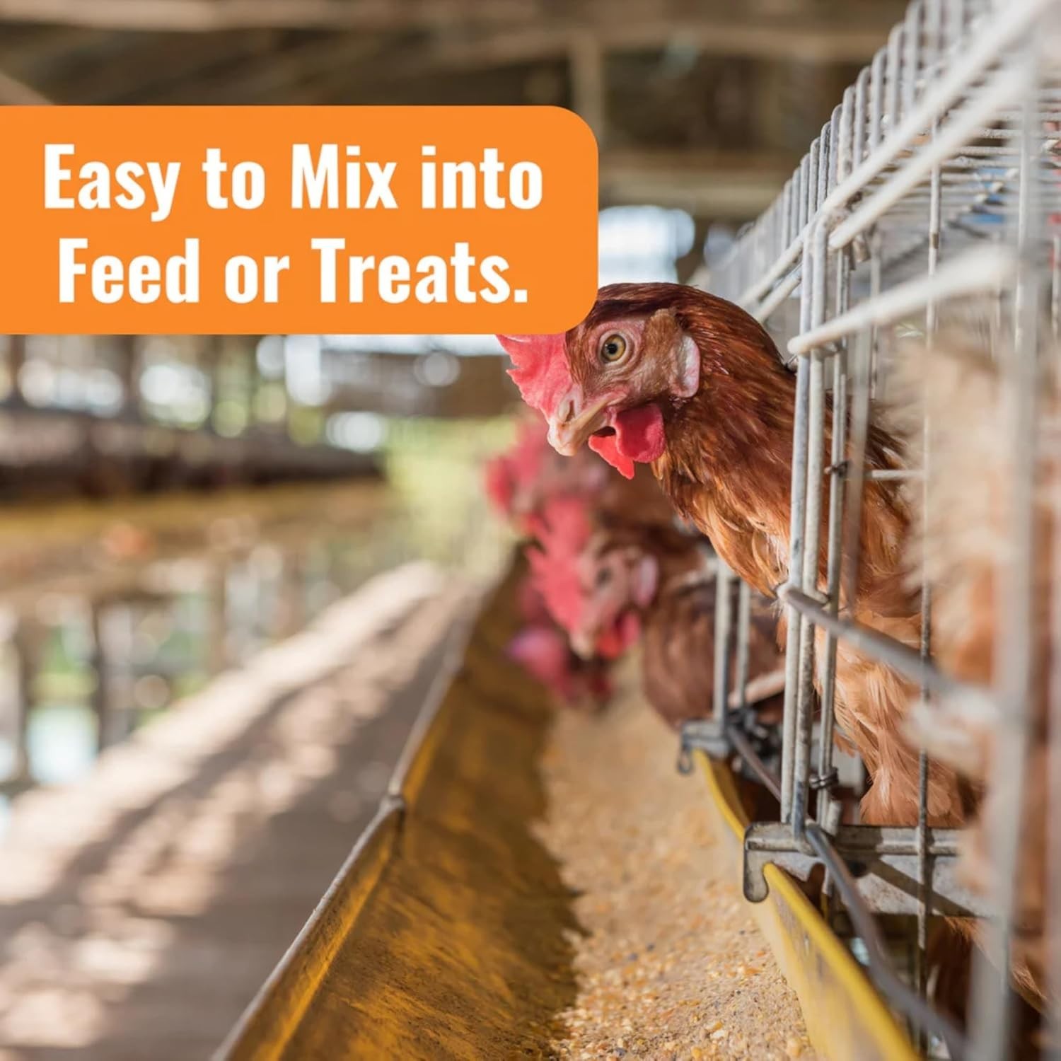 WormStop Natural Chicken Dewormer Powder – All-Natural Herbal Blend for Daily