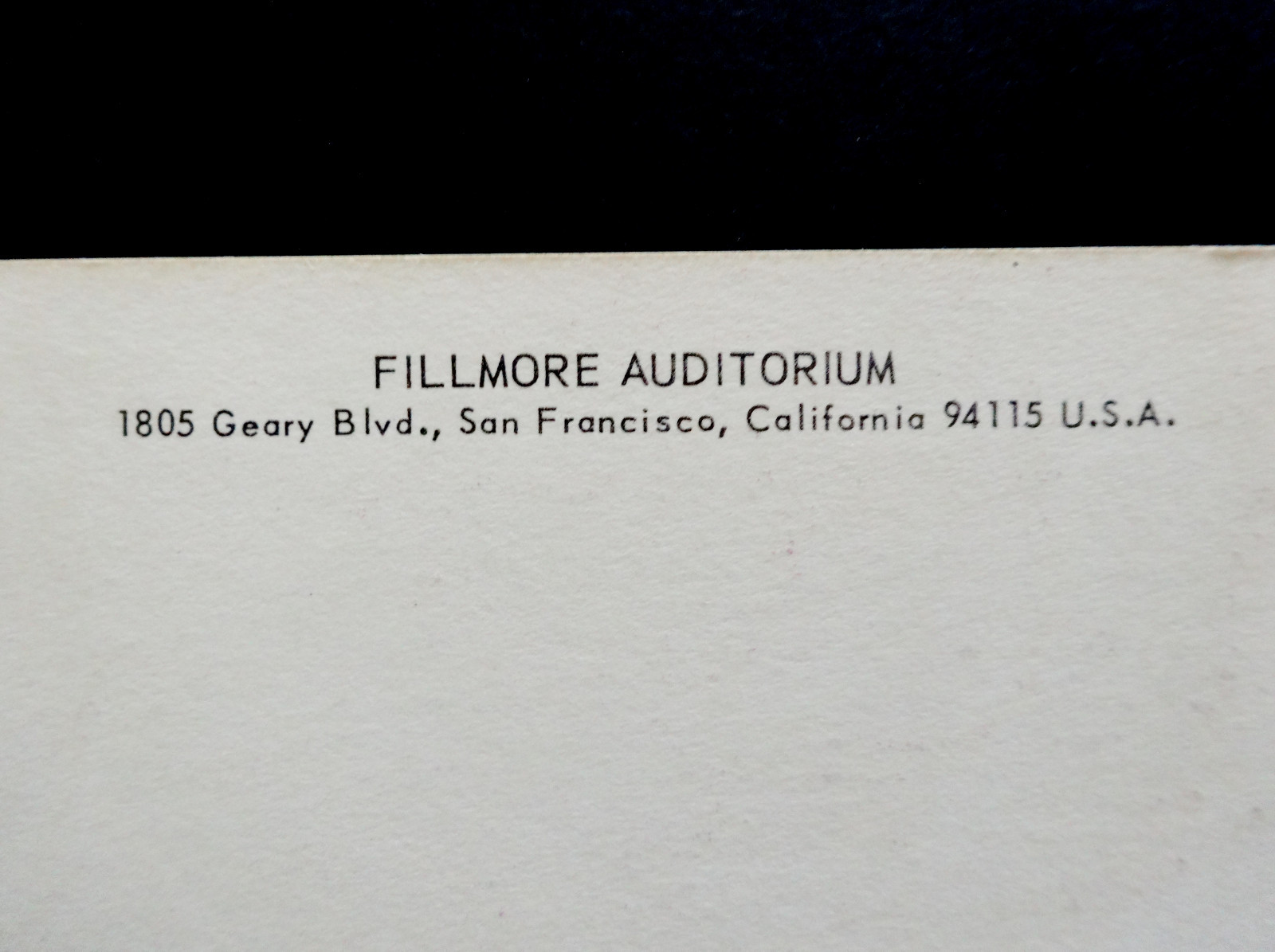 Bill Graham Fillmore Postcard Handbill BG 36 Buffalo Springfield Neil Young 1966