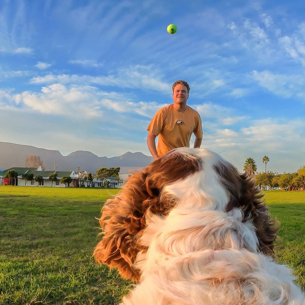 Insta360 Pet Harness Mount for Action Camera, Small